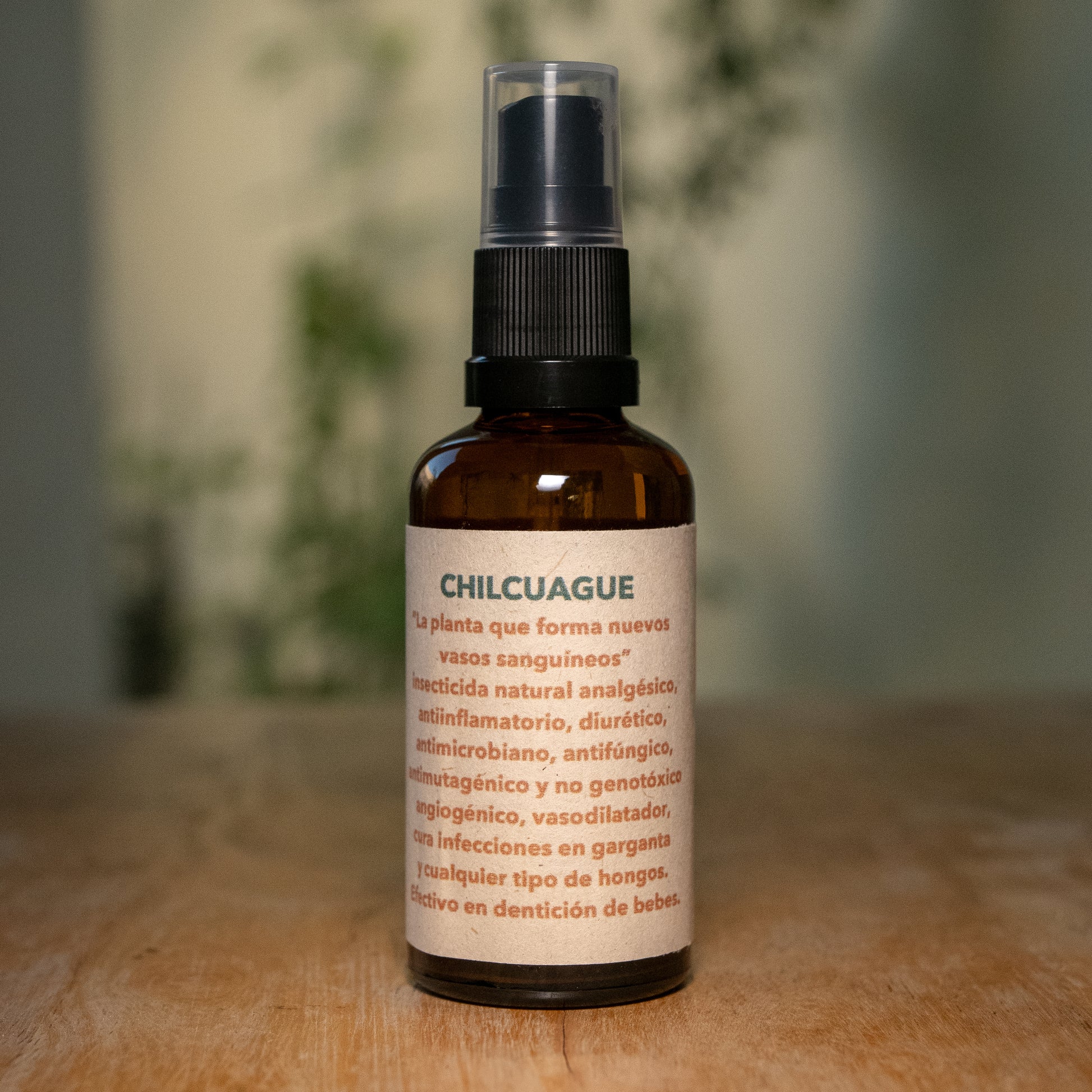 Chilcuague Tintura y Aceite
